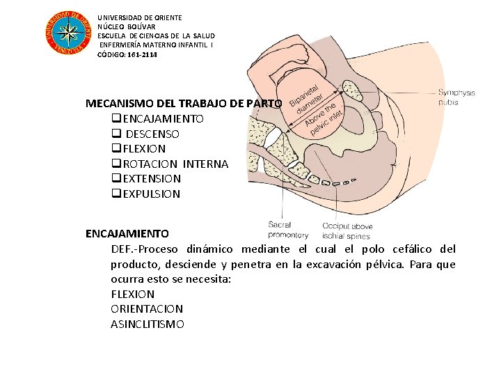 UNIVERSIDAD DE ORIENTE NÚCLEO BOLÍVAR ESCUELA DE CIENCIAS DE LA SALUD ENFERMERÍA MATERNO INFANTIL