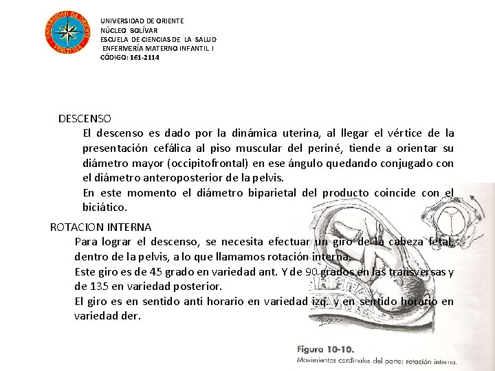 UNIVERSIDAD DE ORIENTE NÚCLEO BOLÍVAR ESCUELA DE CIENCIAS DE LA SALUD ENFERMERÍA MATERNO INFANTIL