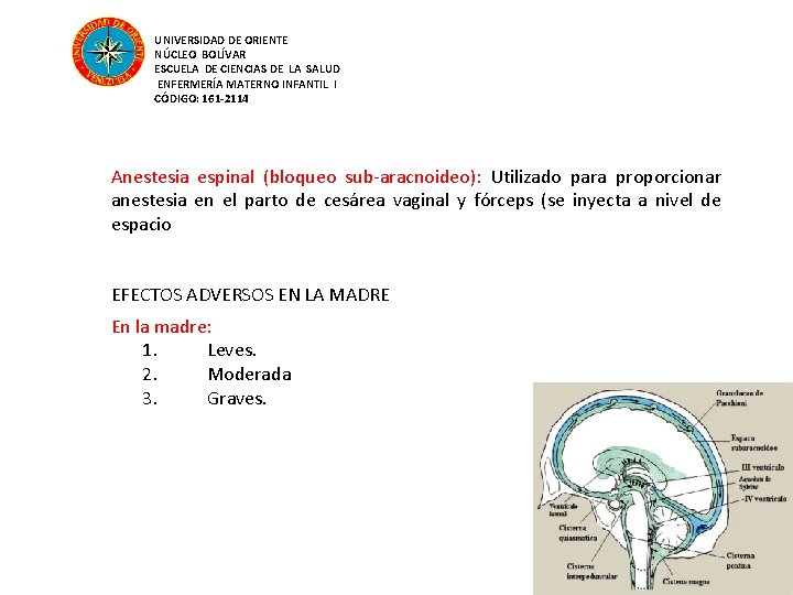 UNIVERSIDAD DE ORIENTE NÚCLEO BOLÍVAR ESCUELA DE CIENCIAS DE LA SALUD ENFERMERÍA MATERNO INFANTIL