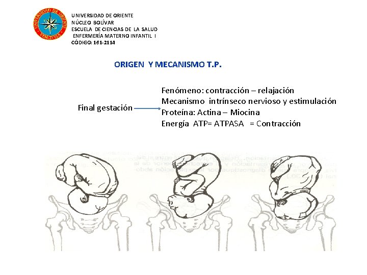 UNIVERSIDAD DE ORIENTE NÚCLEO BOLÍVAR ESCUELA DE CIENCIAS DE LA SALUD ENFERMERÍA MATERNO INFANTIL