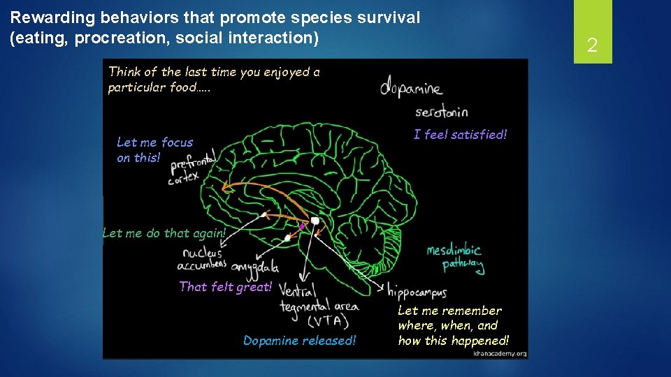 Rewarding behaviors that promote species survival (eating, procreation, social interaction) Think of the last