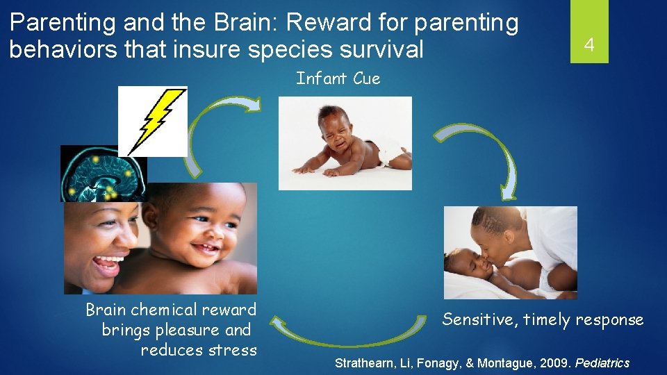 Parenting and the Brain: Reward for parenting behaviors that insure species survival 4 Infant