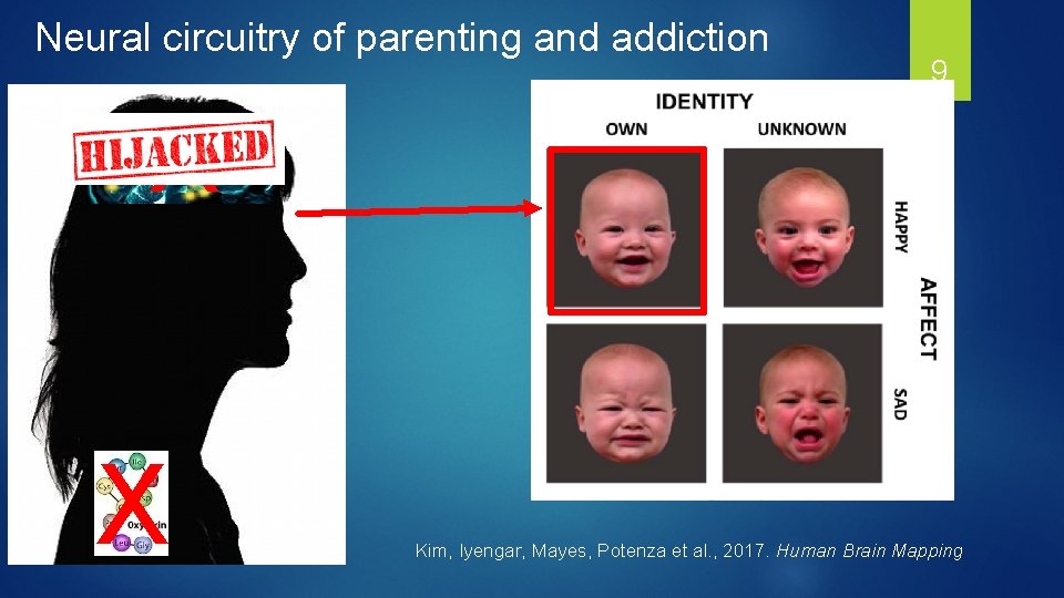 Neural circuitry of parenting and addiction 9 X X Kim, Iyengar, Mayes, Potenza et