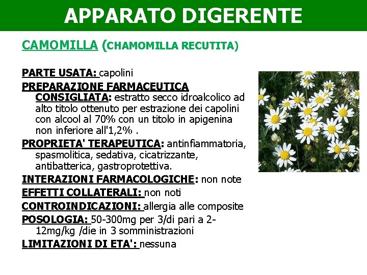 APPARATO DIGERENTE CAMOMILLA (CHAMOMILLA RECUTITA) PARTE USATA: capolini PREPARAZIONE FARMACEUTICA CONSIGLIATA: estratto secco idroalcolico