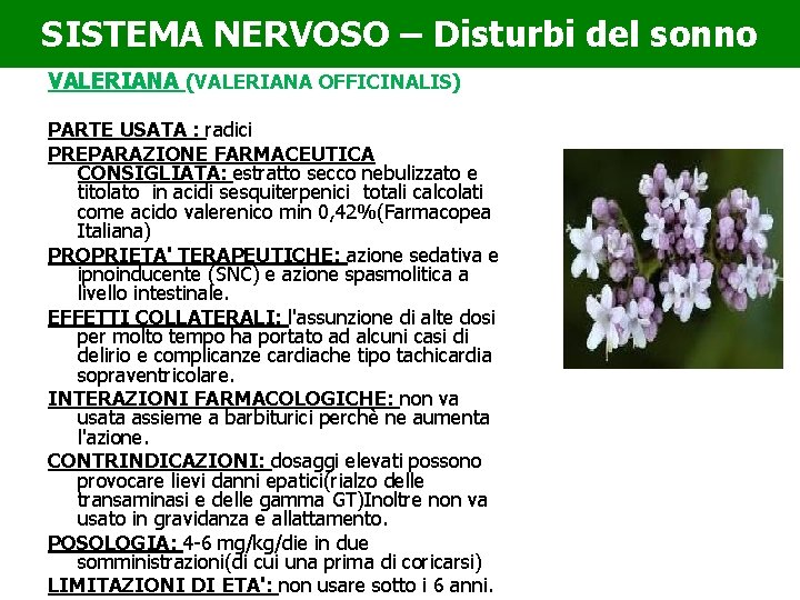 SISTEMA NERVOSO – Disturbi del sonno VALERIANA (VALERIANA OFFICINALIS) PARTE USATA : radici PREPARAZIONE