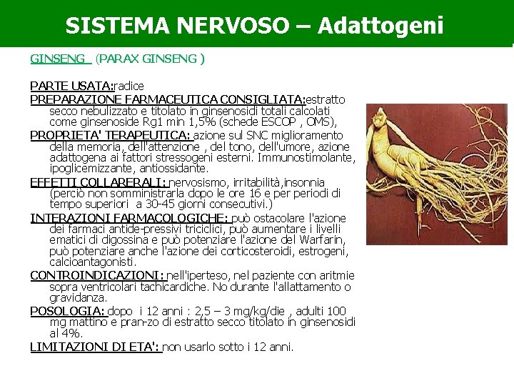 SISTEMA NERVOSO – Adattogeni GINSENG (PARAX GINSENG ) PARTE USATA: radice PREPARAZIONE FARMACEUTICA CONSIGLIATA: