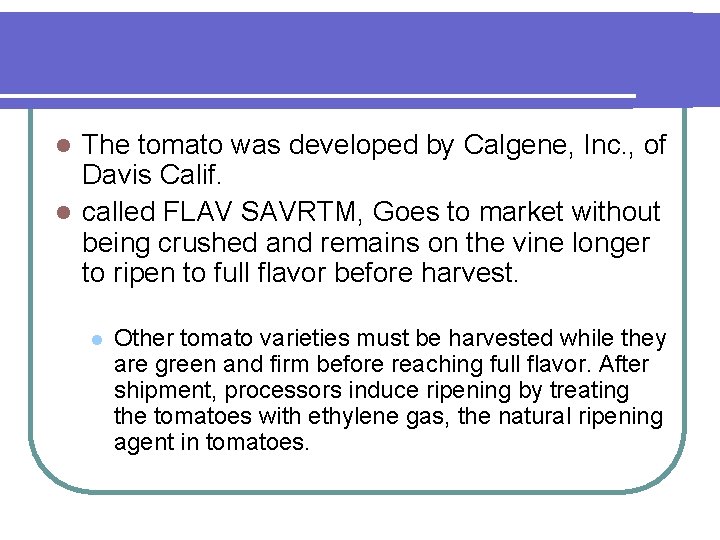 The tomato was developed by Calgene, Inc. , of Davis Calif. l called FLAV