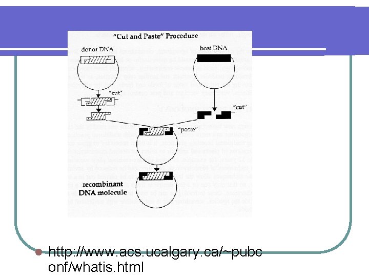 l http: //www. acs. ucalgary. ca/~pubc onf/whatis. html 
