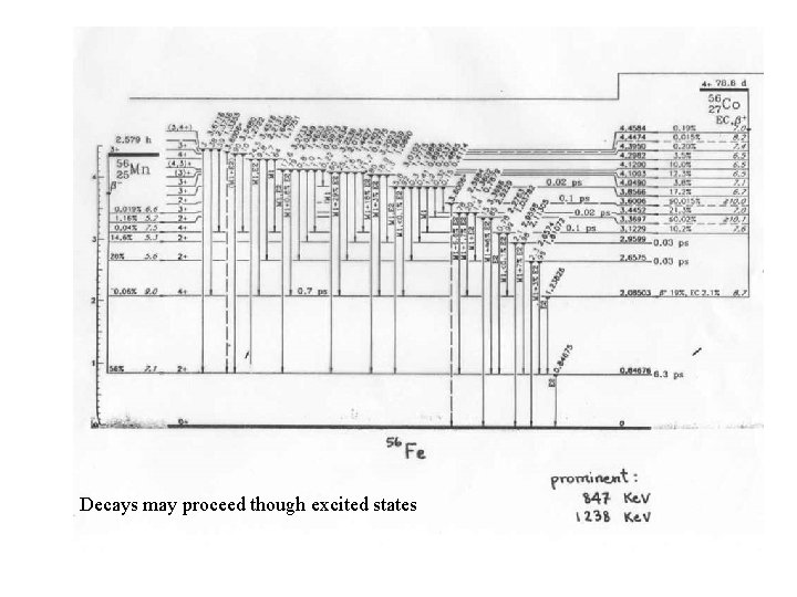 Decays may proceed though excited states 