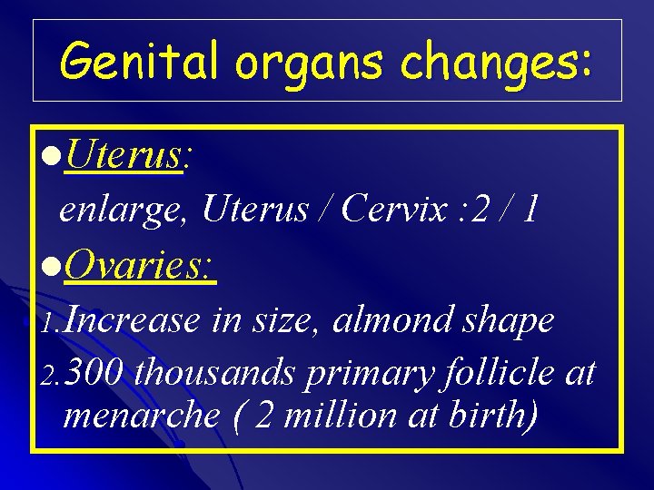 Genital organs changes: l. Uterus: enlarge, Uterus / Cervix : 2 / 1 l.