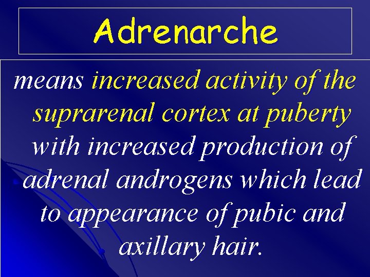 Adrenarche means increased activity of the suprarenal cortex at puberty with increased production of