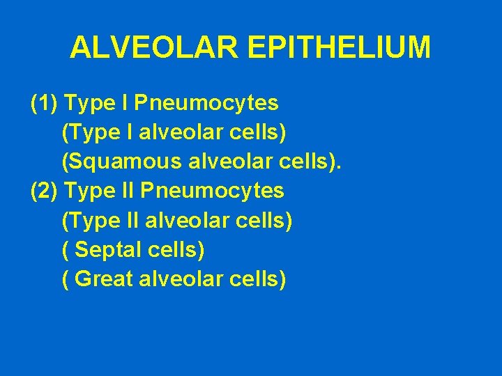 ALVEOLAR EPITHELIUM (1) Type I Pneumocytes (Type I alveolar cells) (Squamous alveolar cells). (2)