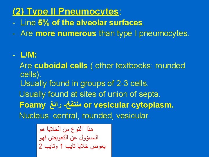 (2) Type II Pneumocytes: - Line 5% of the alveolar surfaces. - Are more