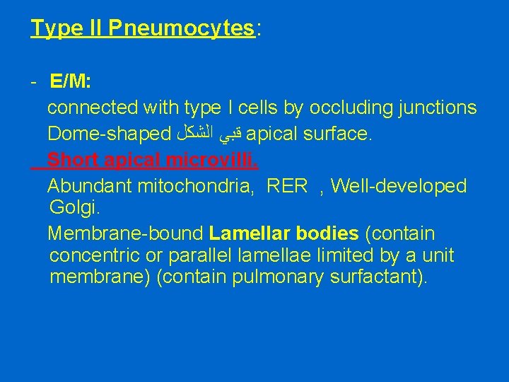 Type II Pneumocytes: - E/M: connected with type I cells by occluding junctions Dome-shaped