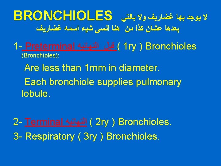BRONCHIOLES ﻻ ﻳﻮﺟﺪ ﺑﻬﺎ ﻏﻀﺎﺭﻳﻒ ﻭﻻ ﺑﺎﻟﺘﻲ ﺑﻌﺪﻫﺎ ﻋﺸﺎﻥ ﻛﺬﺍ ﻣﻦ ﻫﻨﺎ ﺍﻧﺴﻰ ﺷﻴﺀ