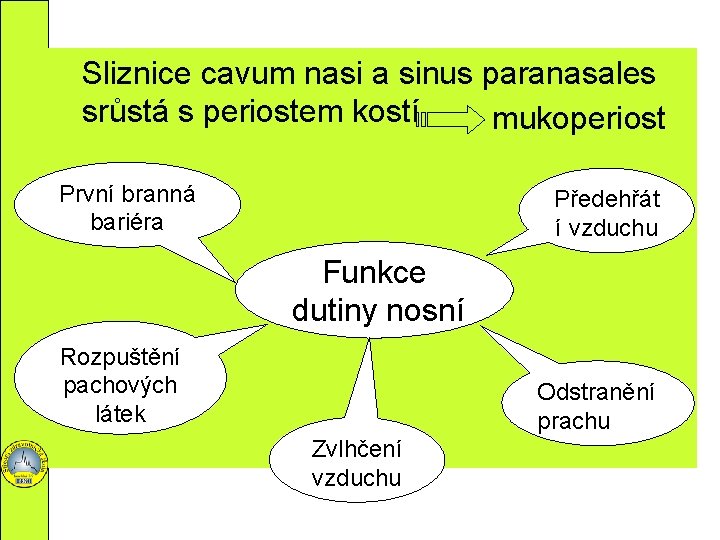 Sliznice cavum nasi a sinus paranasales srůstá s periostem kostí mukoperiost První branná bariéra