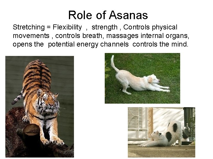 Role of Asanas Stretching = Flexibility , strength , Controls physical movements , controls