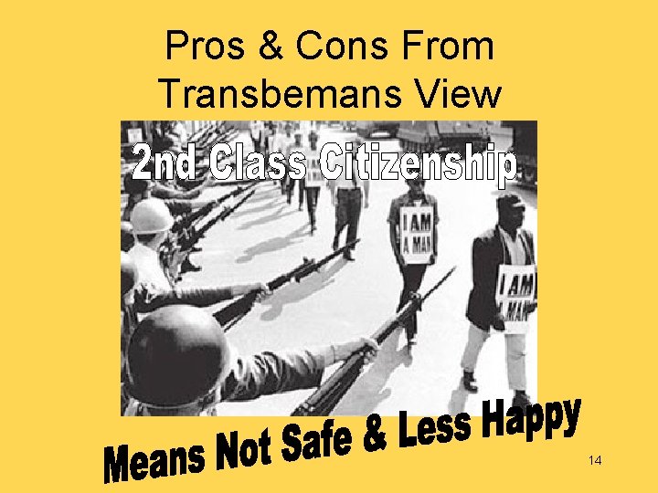 Pros & Cons From Transbemans View 14 