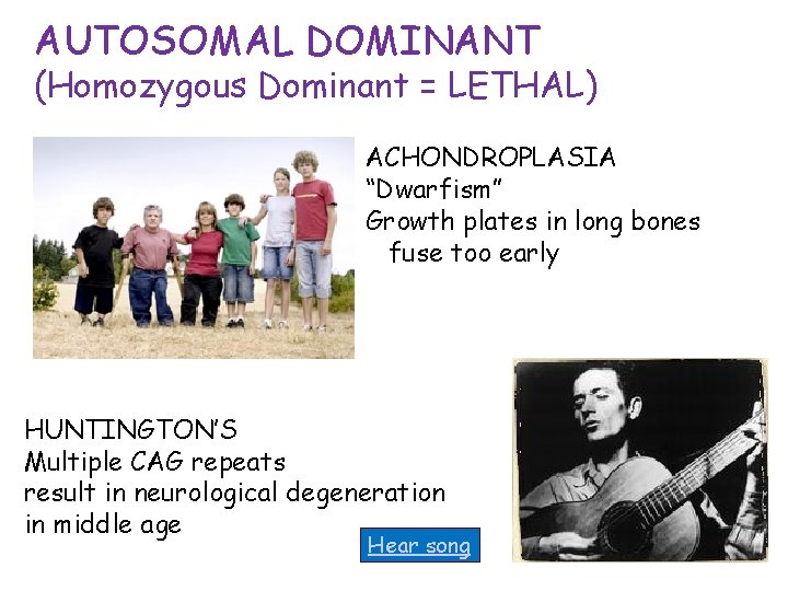 AUTOSOMAL DOMINANT (Homozygous Dominant = LETHAL) ACHONDROPLASIA “Dwarfism” Growth plates in long bones fuse