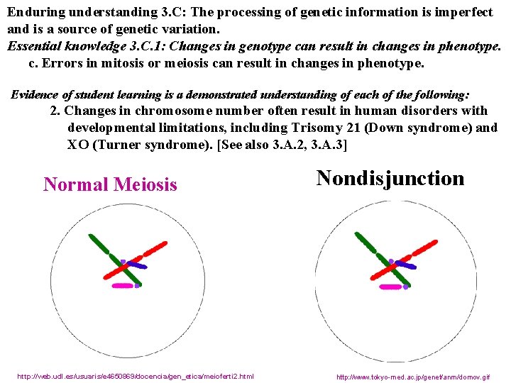 Enduring understanding 3. C: The processing of genetic information is imperfect and is a