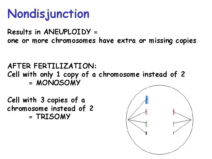 Nondisjunction Results in ANEUPLOIDY = one or more chromosomes have extra or missing copies
