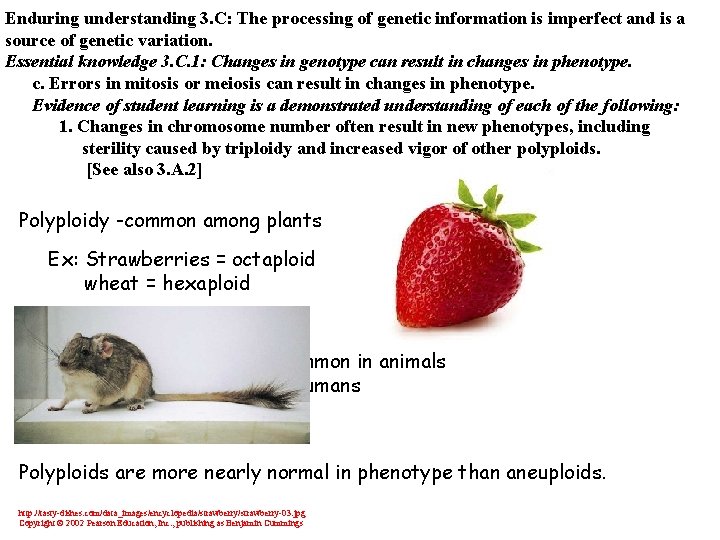 Enduring understanding 3. C: The processing of genetic information is imperfect and is a