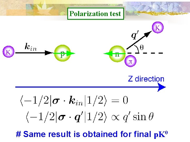 Polarization test # Same result is obtained for final p. K 0 