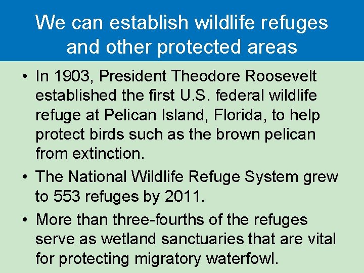 We can establish wildlife refuges and other protected areas • In 1903, President Theodore