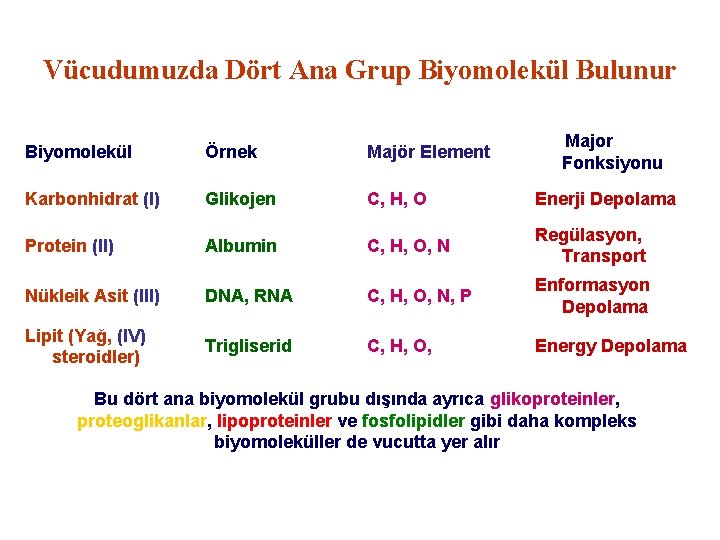 Vücudumuzda Dört Ana Grup Biyomolekül Bulunur Major Fonksiyonu Biyomolekül Örnek Majör Element Karbonhidrat (I)