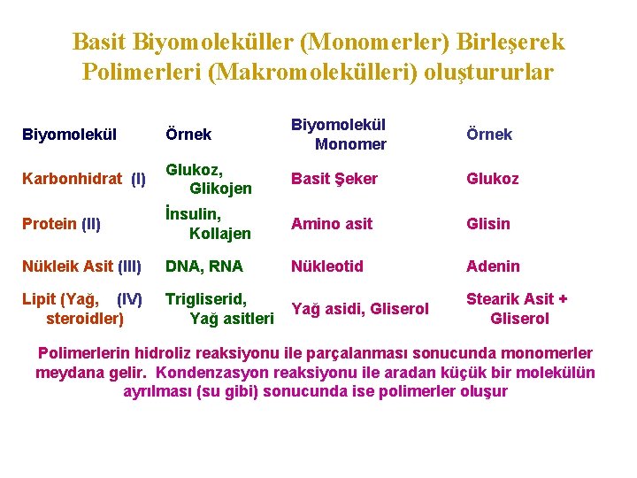Basit Biyomoleküller (Monomerler) Birleşerek Polimerleri (Makromolekülleri) oluştururlar Biyomolekül Örnek Biyomolekül Monomer Örnek Karbonhidrat (I)
