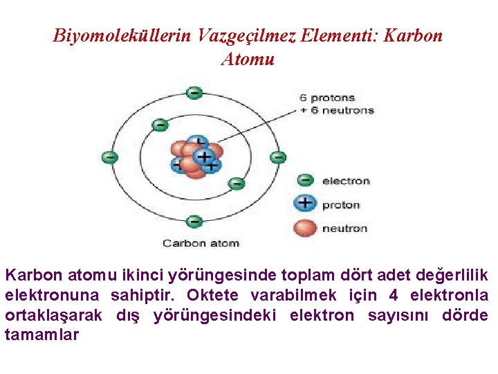 Biyomoleküllerin Vazgeçilmez Elementi: Karbon Atomu Karbon atomu ikinci yörüngesinde toplam dört adet değerlilik elektronuna