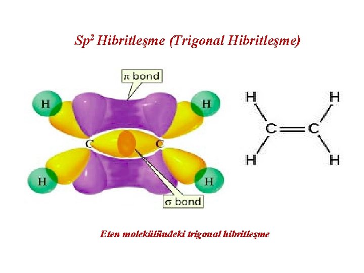 Sp 2 Hibritleşme (Trigonal Hibritleşme) Eten molekülündeki trigonal hibritleşme 
