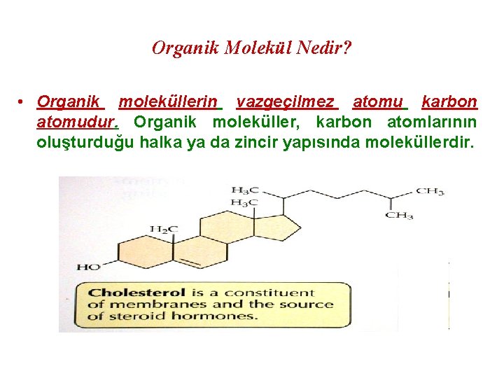 Organik Molekül Nedir? • Organik moleküllerin vazgeçilmez atomu karbon atomudur. Organik moleküller, karbon atomlarının
