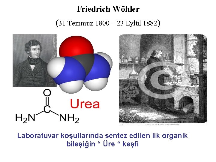 Friedrich Wöhler (31 Temmuz 1800 – 23 Eylül 1882) Laboratuvar koşullarında sentez edilen ilk