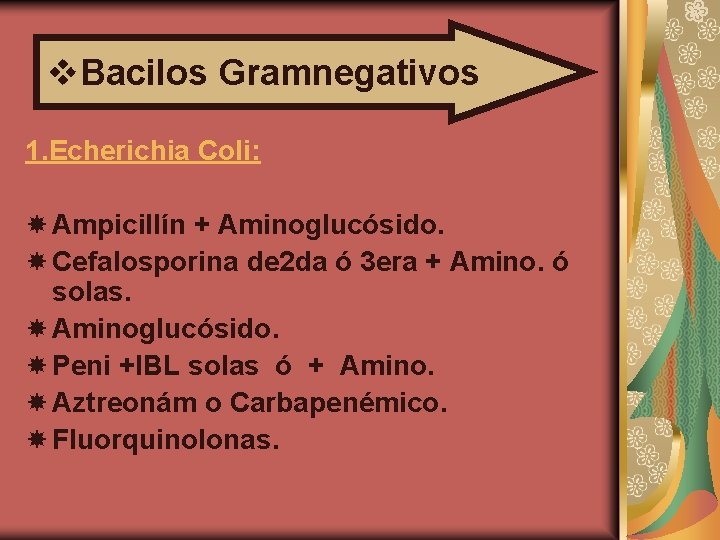 v. Bacilos Gramnegativos 1. Echerichia Coli: Ampicillín + Aminoglucósido. Cefalosporina de 2 da ó