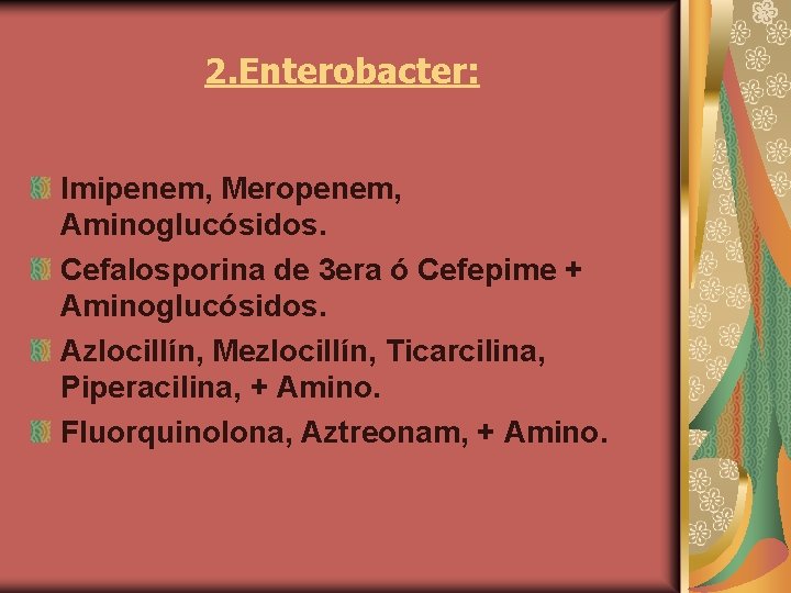 2. Enterobacter: Imipenem, Meropenem, Aminoglucósidos. Cefalosporina de 3 era ó Cefepime + Aminoglucósidos. Azlocillín,