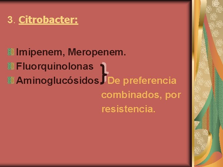 3. Citrobacter: Imipenem, Meropenem. Fluorquinolonas Aminoglucósidos De preferencia combinados, por resistencia. 