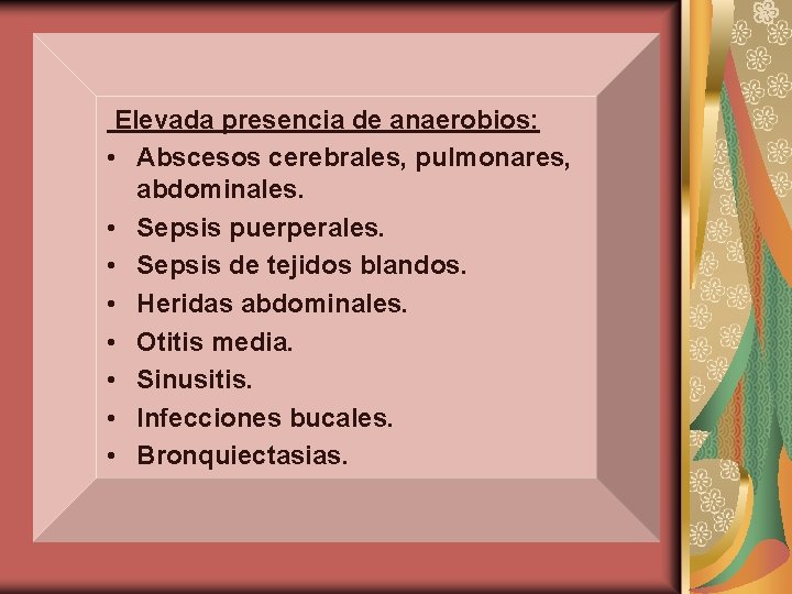 Elevada presencia de anaerobios: • Abscesos cerebrales, pulmonares, abdominales. • Sepsis puerperales. • Sepsis