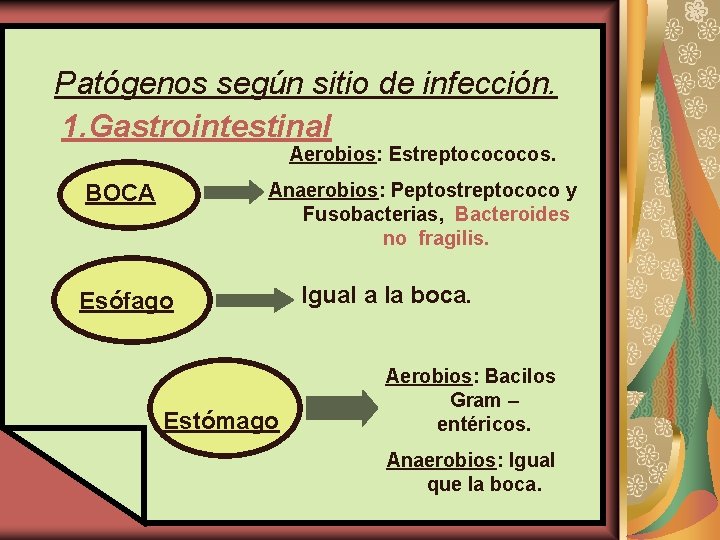 Patógenos según sitio de infección. 1. Gastrointestinal Aerobios: Estreptocococos. Anaerobios: Peptostreptococo y Fusobacterias, Bacteroides