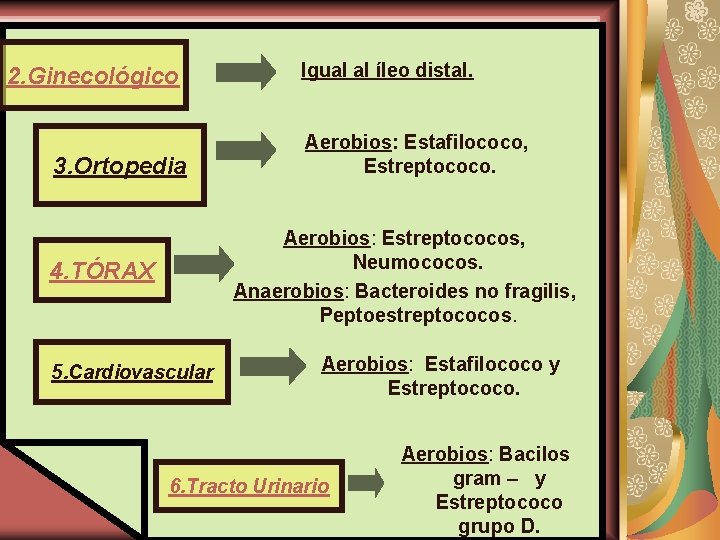 2. Ginecológico 3. Ortopedia Igual al íleo distal. Aerobios: Estafilococo, Estreptococo. Aerobios: Estreptococos, Neumococos.