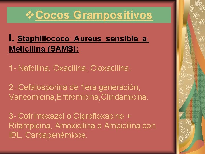 v. Cocos Grampositivos I. Staph. Iilococo Aureus sensible a Meticilina (SAMS): 1 - Nafcilina,