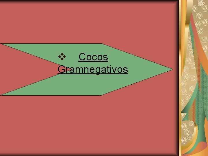 v Cocos Gramnegativos 