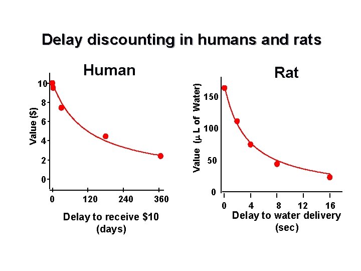 Delay discounting in humans and rats Human Value ( L of Water) Value ($)