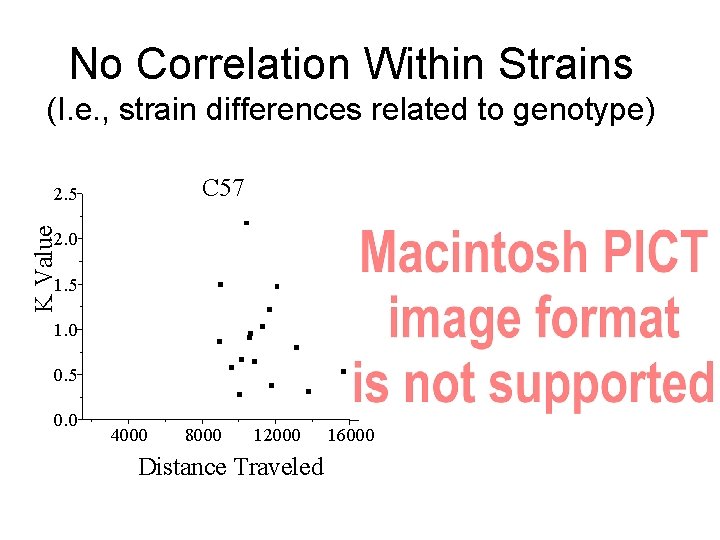 No Correlation Within Strains (I. e. , strain differences related to genotype) C 57
