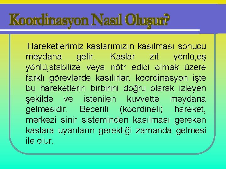 Hareketlerimiz kaslarımızın kasılması sonucu meydana gelir. Kaslar zıt yönlü, eş yönlü, stabilize veya nötr