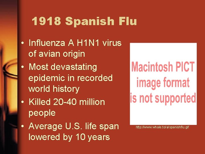 1918 Spanish Flu • Influenza A H 1 N 1 virus of avian origin