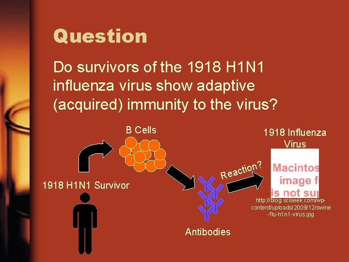 Question Do survivors of the 1918 H 1 N 1 influenza virus show adaptive