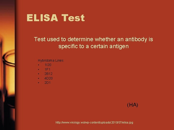 ELISA Test used to determine whether an antibody is specific to a certain antigen