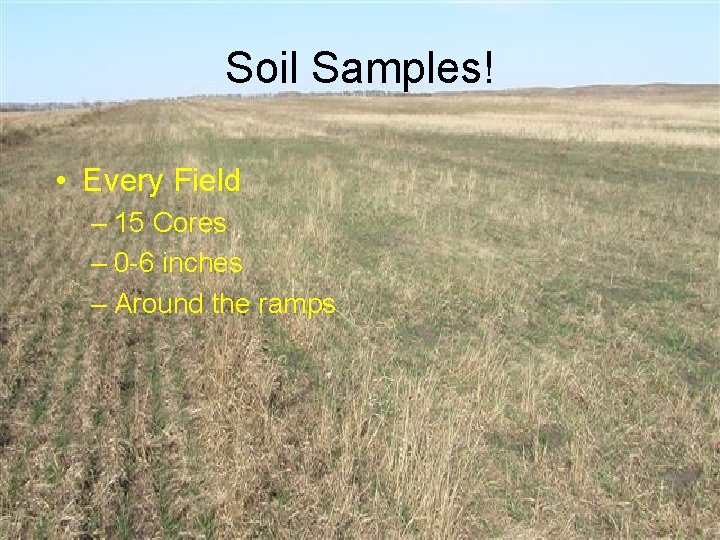 Soil Samples! • Every Field – 15 Cores – 0 -6 inches – Around