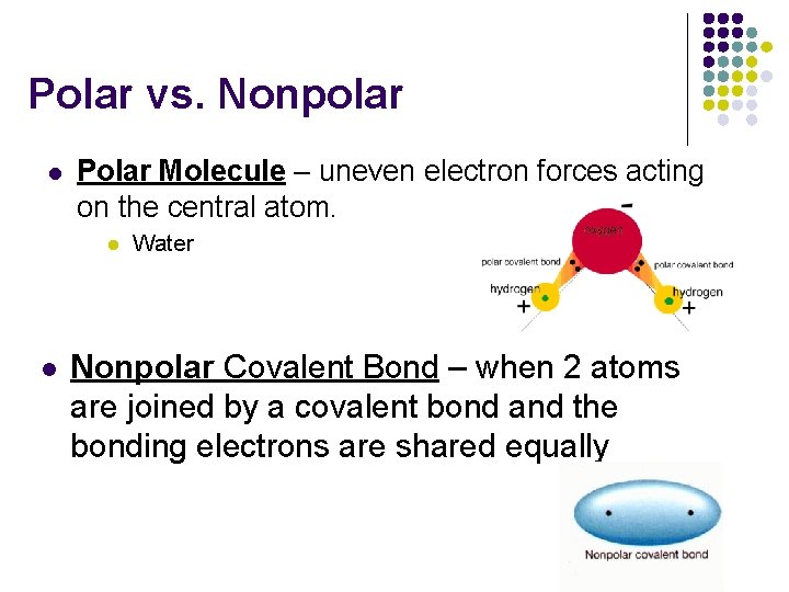 Polar vs. Nonpolar l Polar Molecule – uneven electron forces acting on the central